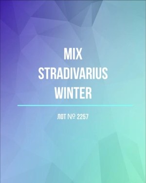 Купить STRADIVARIUS Winter mix#15 кг, ЛОТ №2257 оптом в Саранске и Мордовии