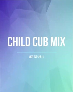 Купить CUBUS детский микс лето (Children CUBUS mix)#15 кг, ЛОТ №2511 оптом в Саранске и Мордовии