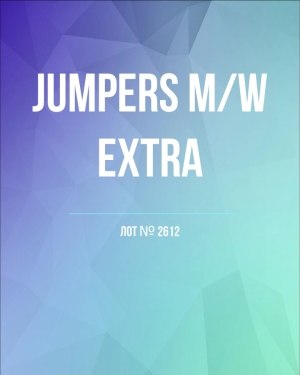 Купить Джемпер муж+жен экстра#15 кг , Лот№2612 оптом в Саранске и Мордовии