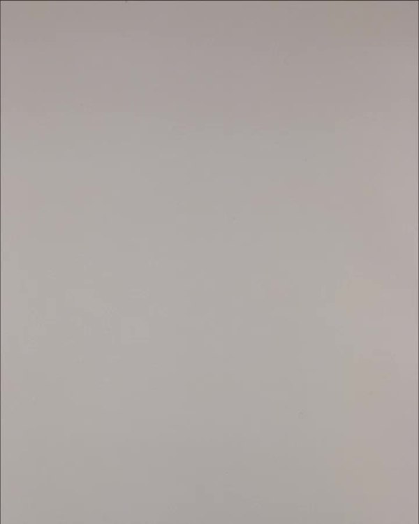 Фотография  602 - Нижнее белье Bon Prix дети#50 шт, ЛОТ №3242 оптом в Саранске и Мордовии