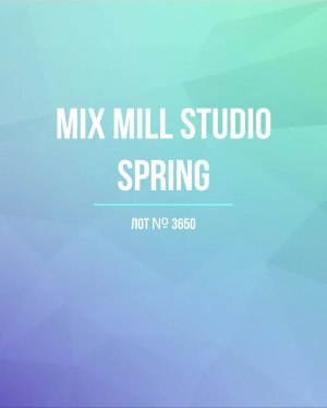 Купить MILL STUDIO Spring mix#15 кг, ЛОТ №3650 оптом в Саранске и Мордовии
