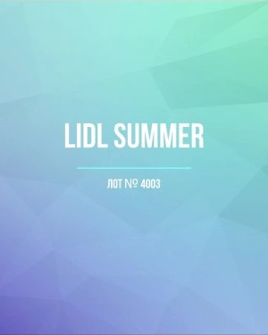 Купить LIDL Summer#20 кг, ЛОТ №4003 оптом в Саранске и Мордовии