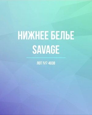 Купить Нижнее белье Savage#50 шт, ЛОТ №4038 оптом в Саранске и Мордовии