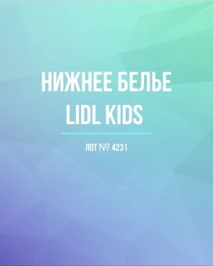 Купить Нижнее белье LIDL Kids#5 кг, ЛОТ №4231 оптом в Саранске и Мордовии