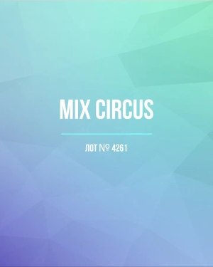 Купить CIRCUS mix #13 кг, ЛОТ №4261 оптом в Саранске и Мордовии