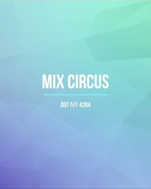 Купить CIRCUS mix #11,8 кг, ЛОТ №4284 оптом в Саранске и Мордовии
