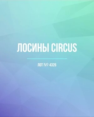 Купить Лосины CIRCUS #6,2 кг, ЛОТ №4326 оптом в Саранске и Мордовии