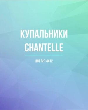 Купить Купальники Chantelle#23 шт, ЛОТ №4412 оптом в Саранске и Мордовии