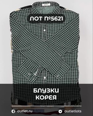 Купить Блузки Корея#20 шт, ЛОТ №5621 оптом в Саранске и Мордовии