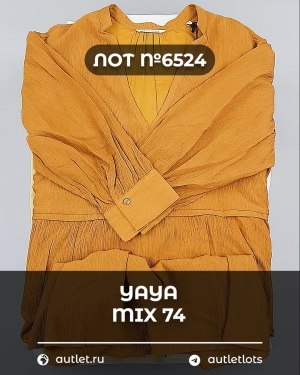 Купить YA YA 062024#39 шт, ЛОТ №6524 оптом в Саранске и Мордовии