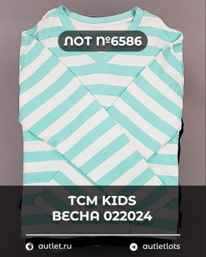 Купить TCM Kids весна 022024#7 кг, ЛОТ №6586 оптом в Саранске и Мордовии