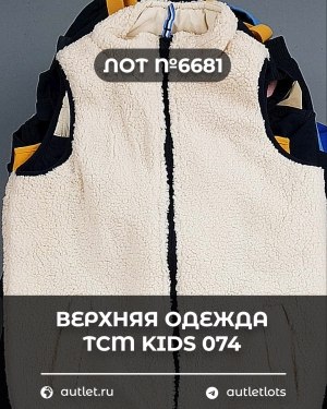 Купить Верхняя одежда TCM kids 074#7 кг, ЛОТ №6681 оптом в Саранске и Мордовии