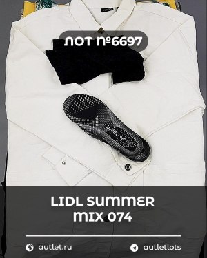 Купить LIDL Summer mix 074#15 кг, ЛОТ №6697 оптом в Саранске и Мордовии