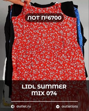 Купить LIDL Summer mix 074#15 кг, ЛОТ №6700 оптом в Саранске и Мордовии