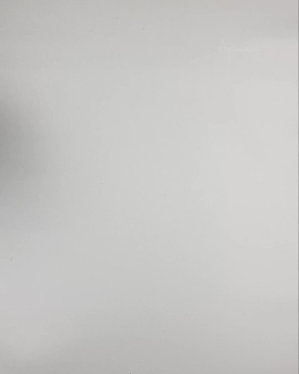 Фотография  244 - Верхняя одежда Дания#10,2 кг ЛОТ №6911 оптом в Саранске и Мордовии