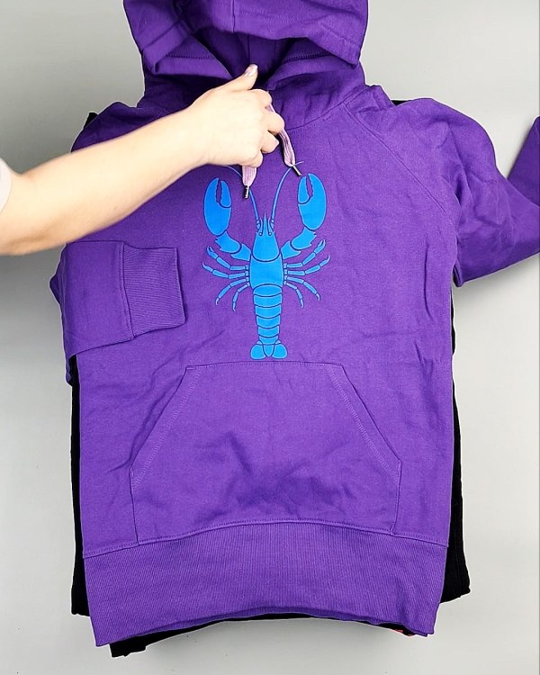 Фотография  892 - Толстовки м/ж (Sweat Tops)#20 кг, ЛОТ №7431 оптом в Саранске и Мордовии