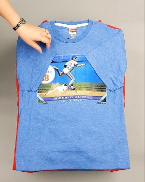 Фотография  622 - HOMAGE CAN 084#10 кг, ЛОТ №7499 оптом в Саранске и Мордовии