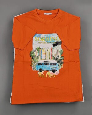 Купить Футболки мужские C-3141 (MEN T-shirt Sorbino) #4,8 кг оптом в Саранске и Мордовии