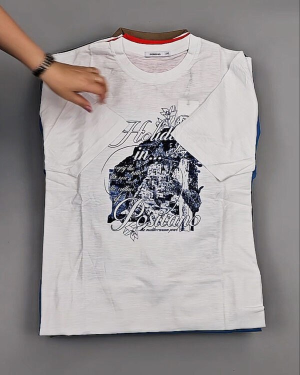 Фотография  211 - Футболки мужские C-3141 (MEN T-shirt Sorbino) #4,7 кг, ЛОТ №8833 оптом в Саранске и Мордовии