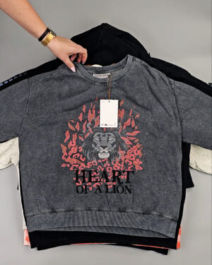 Фотография  425 - Толстовки Bestseller+DK 035#7 кг, ЛОТ СТ-9839 оптом в Саранске и Мордовии